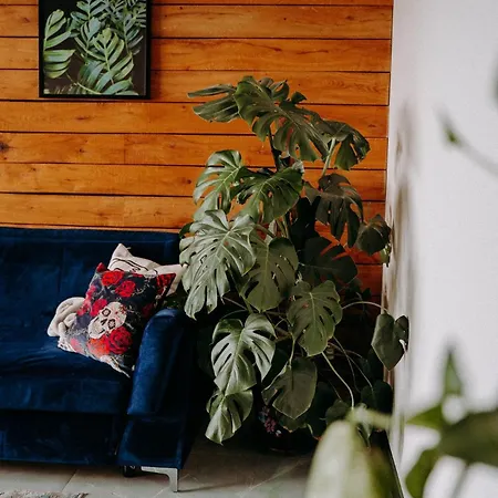 Madlen Art Apartment *