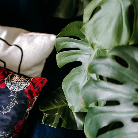 Madlen Art Apartment